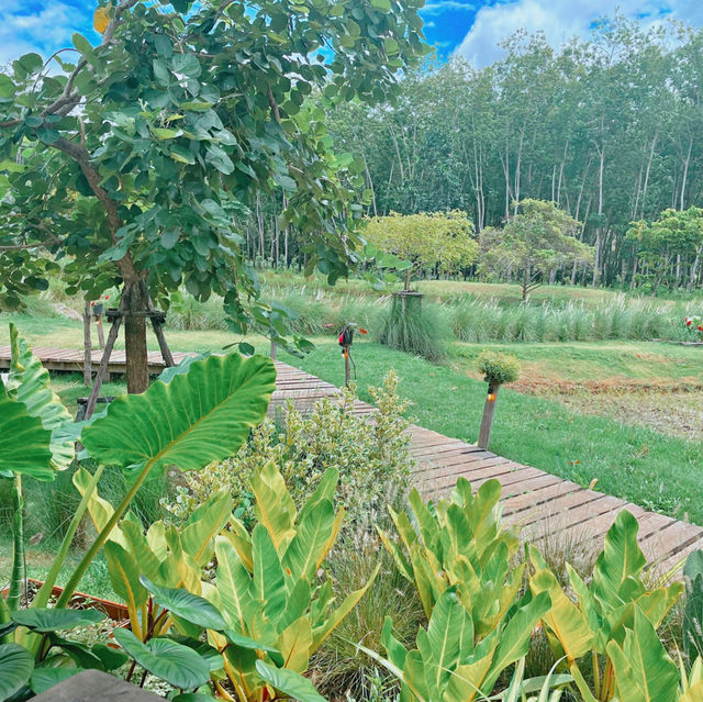 โอบบ์ Farm&Cafe 