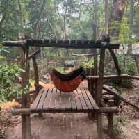 Visiting Luang Prabang: Experience the Beauty of Kuang Si Waterfall
