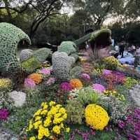 Nature's Oasis: Discovering Hangzhou Botanical Garden