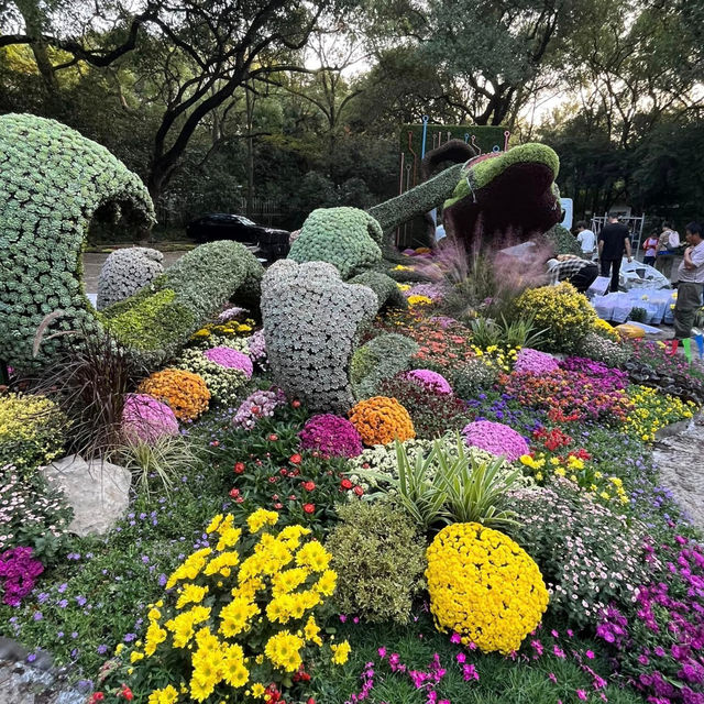 Nature's Oasis: Discovering Hangzhou Botanical Garden
