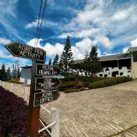 Desa Dairy Farm 'The Little New Zealand'