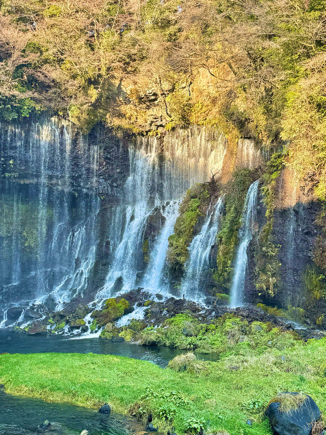 〜静岡県〜絶景すぎる白糸の滝！