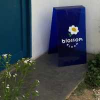 Blossom Bloom 