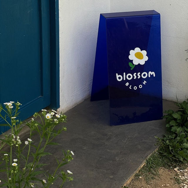 Blossom Bloom 