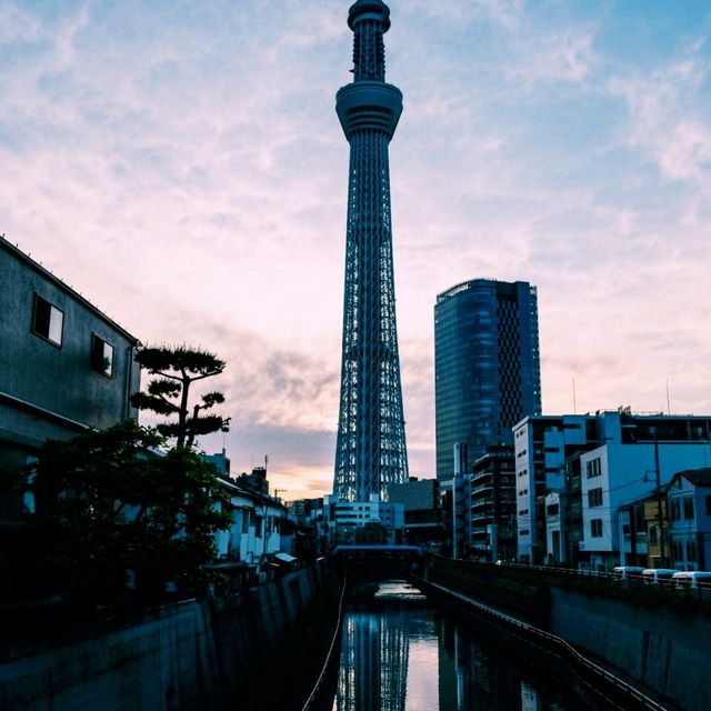 Possibly the best view of Tokyo
