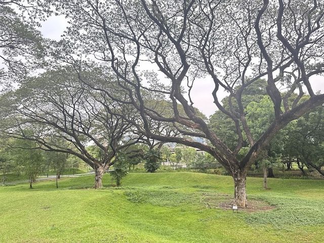 📍🌳 เบญจกิติ (BTS อโศก / MRT สุขุมวิท)