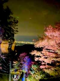 〜神奈川県〜夜景と紅葉両方楽しめるのはここだけ！大山阿夫利神社ライトアップ