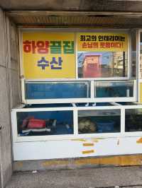 제주도 감성 포장마차! 데이트장소로 딱 >< 