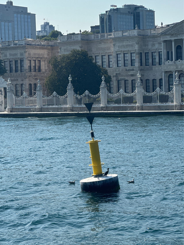 이스탄불 보스포러스 크루즈 🛳️