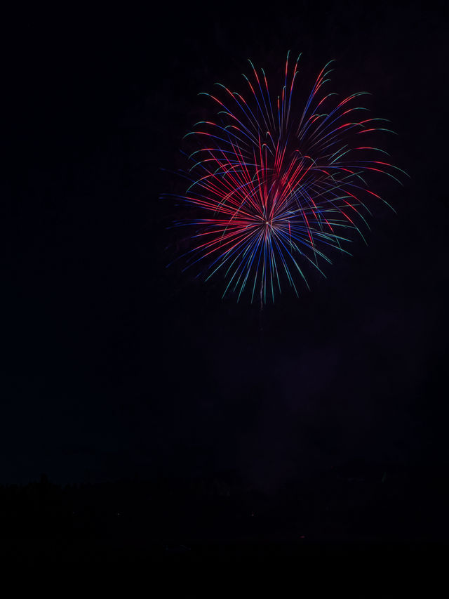 あっとういうまの15分間！！3500発🎇ブルーメの丘花火大会2024
