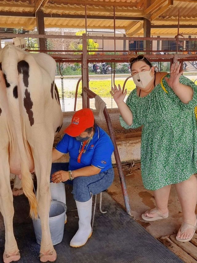 🐮 นมวัวแดง พาลูกเที่ยวเกษตร ธรรมชาติ สระบุรี 
