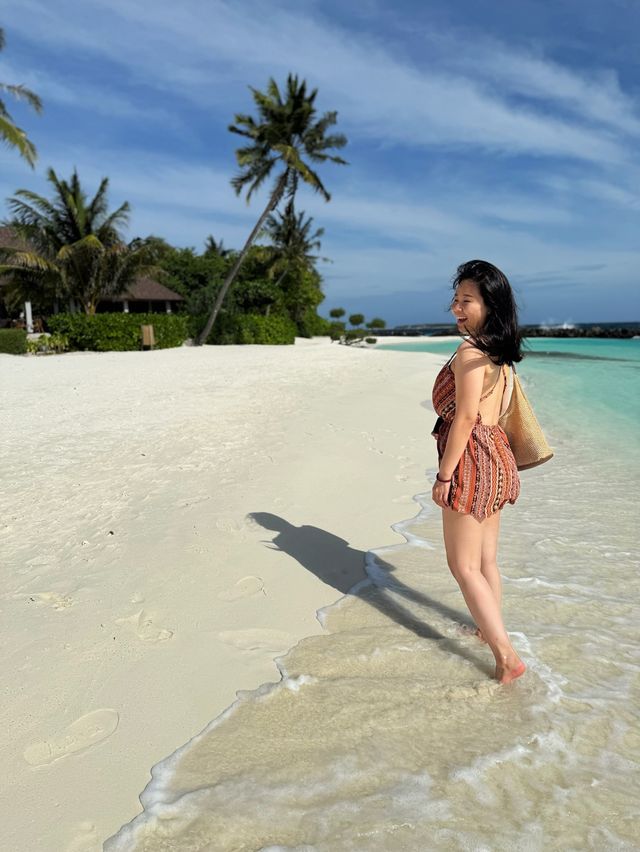 Get lost in the Indian Ocean Sea 🐬