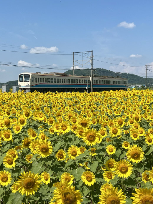 1mi5x224x8vye6x7zB53A.jpg?proc