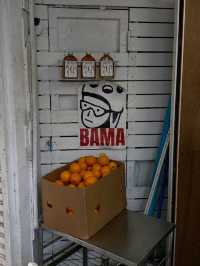BAMA’ -  BANGKOK 🍋
