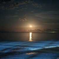 Best Beach Sunset Ever!