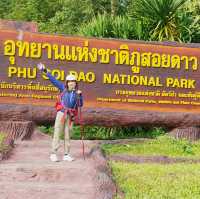 ภูสอยดาว - พิชิตลานสน ชมดอกหงอนนาค
