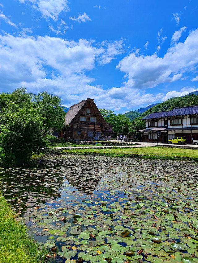 A Springtime Escape to Shirakawago