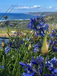 A 3-Day Itinerary in South Africa’s Scenic Gem 💎 