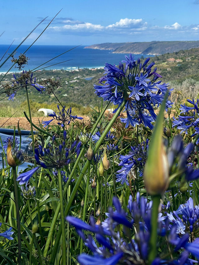A 3-Day Itinerary in South Africa’s Scenic Gem 💎 