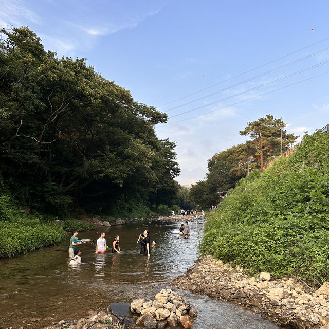 서울 근교 계곡 맛집 용인 고기리유원지💦