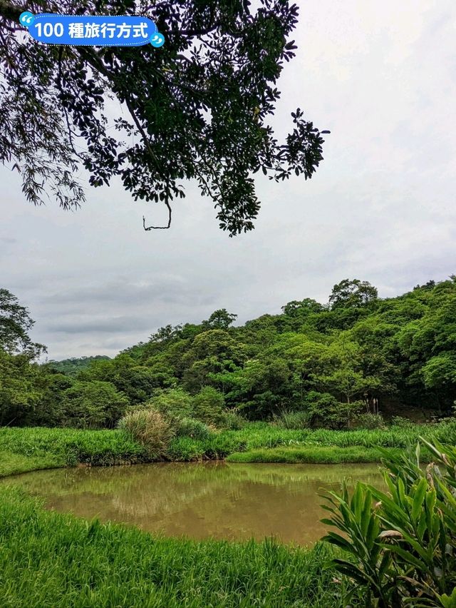 台北汐止-油桐花、螢火蟲一次看：內溝山登山步道