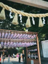 川越に来たら立ち寄りたい氷川神社！
