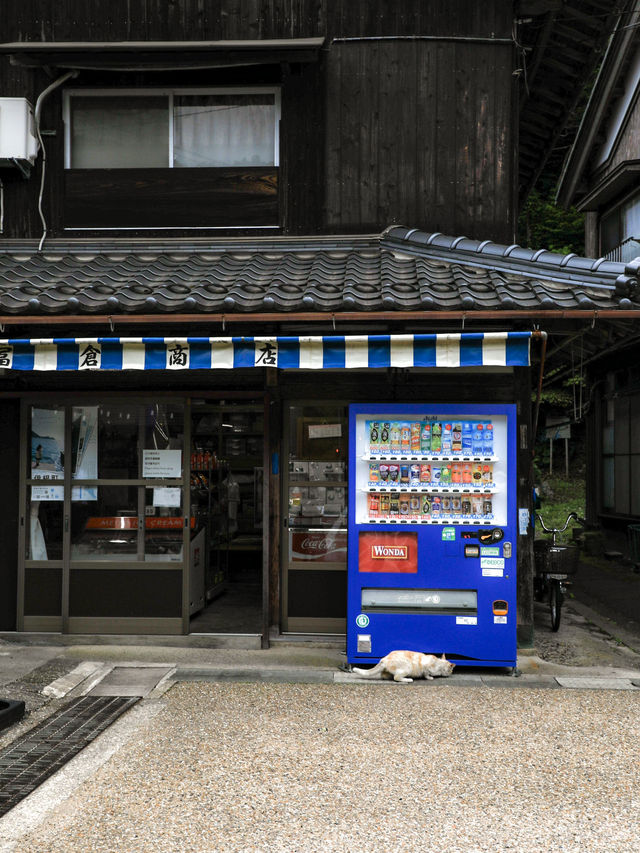 【京都🇯🇵】美しい漁業の街、伊根の舟屋で素敵な写真を📸