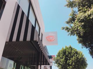 LA 여행시 여기가면 꼭 연예인들 본다? 멜로즈 에비뉴