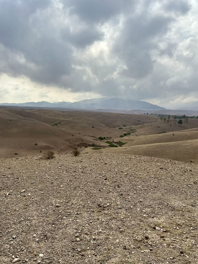 Agafay Desert: Morocco’s Rocky Gem 🐪 