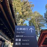深入日光東照宮的歷史與藝術之旅