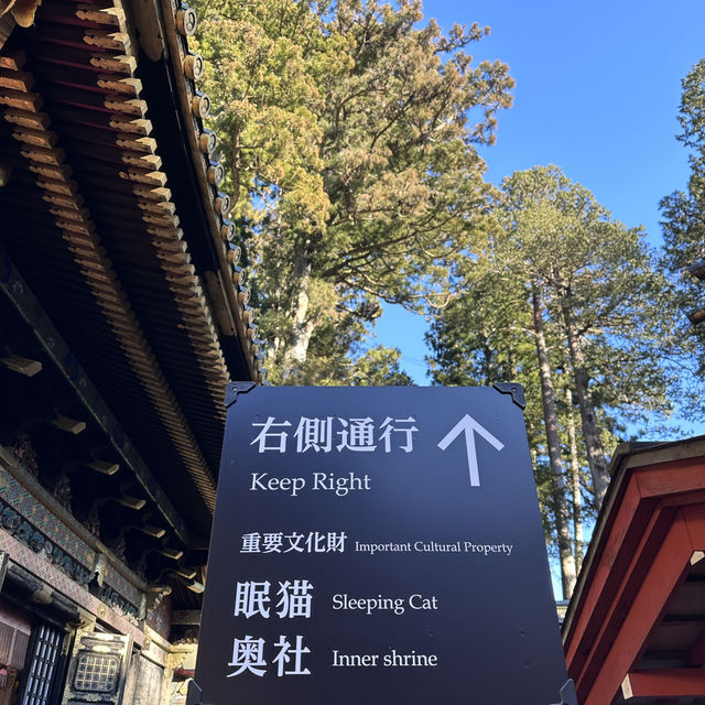 深入日光東照宮的歷史與藝術之旅