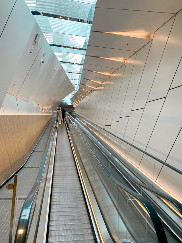 Travel Hacks that You Should Know Before Visiting The Peak, Hong Kong