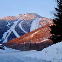 札幌國際滑雪場：冬季運動的夢幻之地⛷️❄️🏔️