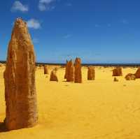 Nature's Artistry: The Breathtaking Pinnacles Desert