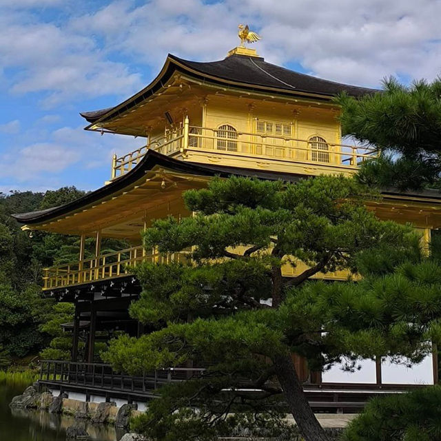 Golden Serenity: Unveiling Kinkaku-ji's Tranquil Beauty