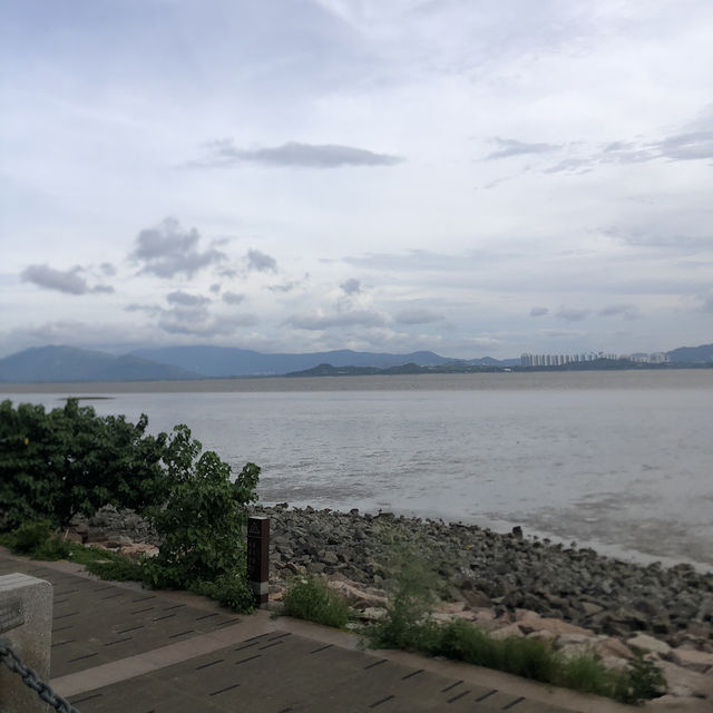 ☕️深圳週末一日遊：深圳灣海岸公園與白鷺坡書吧