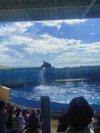 【祝🎉20周年！】展示会が魅力的な新江ノ島水族館🦭