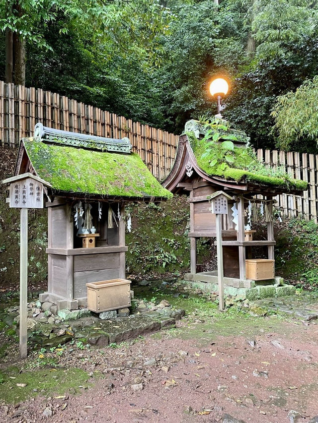 【京都府】古都京都へ行くなら