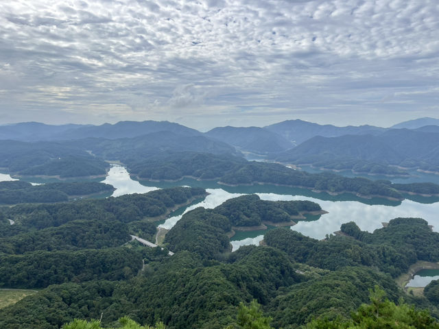 충주 대표 관광지 악어봉 정식 개장 첫주 오픈런 🔥