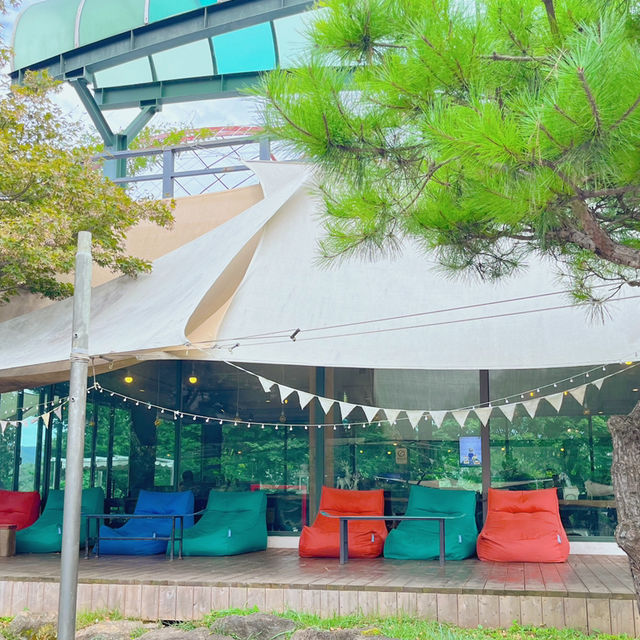 특별한 악어계단에서 사진 남길 수 있는 충주 게으른악어 카페