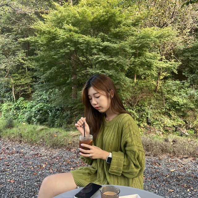 대전근교, 숲과 함께하는 카페
