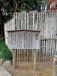 【大宮】最強パワースポットの宝庫📍大宮 氷川神社⛩️縁結びや商売繁盛にもオススメ💓可愛いスポットも🈶
