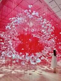 大阪 ❤︎ 迫力の大規模個展❤️