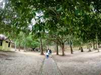 Embracing Nature in Langkawi: Beyond the Famous Beaches