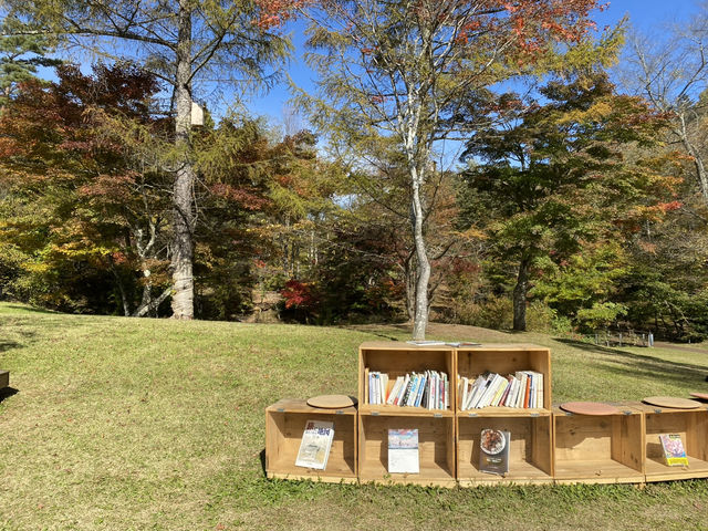 輕井澤紅葉圖書館📚