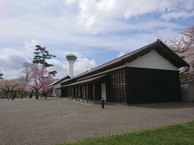 【五稜郭公園:北海道函館市】春には綺麗な桜が見れる五稜郭公園🌸