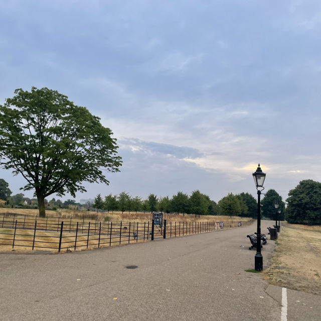 倫敦肯辛頓公園：在都市中的綠意悠遊