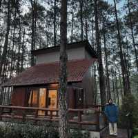 ที่พักวิวป่าสน จ.เชียงใหม่🍂🪵