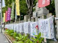 【長野県】境内の欅が見どころ！