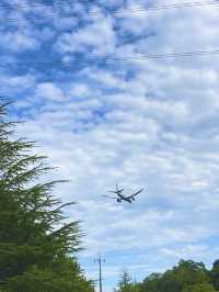 空港すぐ近ホテルで温泉を堪能♨️ 【広島旅】
